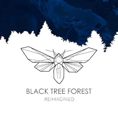 Light The Blind : Black Tree Forest (Reimagined)